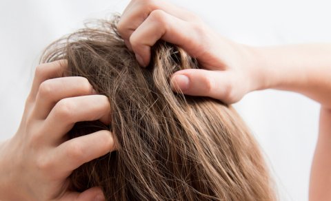 Alimlər saçlardakı təhlükə barədə xəbərdarlıq etdi