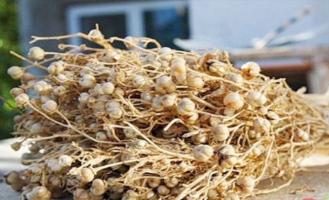 
Nazirlik üzərliklə əhaliyə müraciət etdi