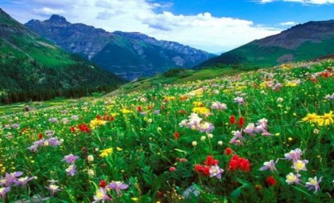 Yaz fəslinin Azərbaycana daxil olacağı vaxt açıqlandı
