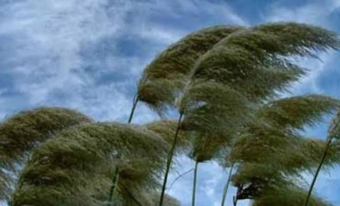 Külək güclənəcək - XƏBƏRDARLIQ