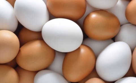 Yumurtanın qiyməti bu qədər artacaq - RƏQƏM