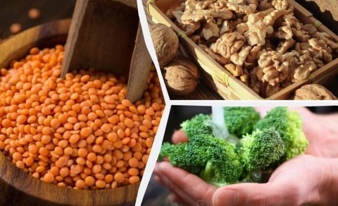 Hansı qidalar çox protein və lif ehtiva edir? - 6 ən yaxşı məhsul