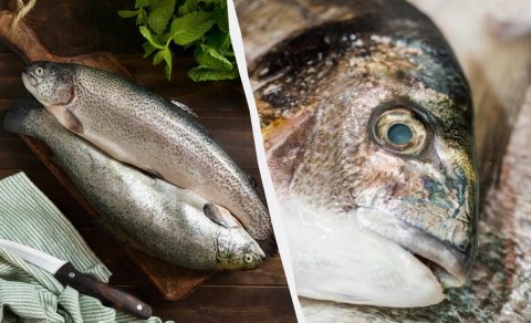 Mütəxəssislər yeməməli olduğunuz 8 dəniz məhsulunu açıqladı: Səbəb nədir?