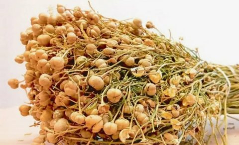 Üzərlik qoruyucu qüvvədir, yoxsa gizli təhlükə?