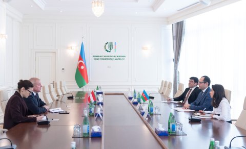 Nazir səfirlə görüşdü