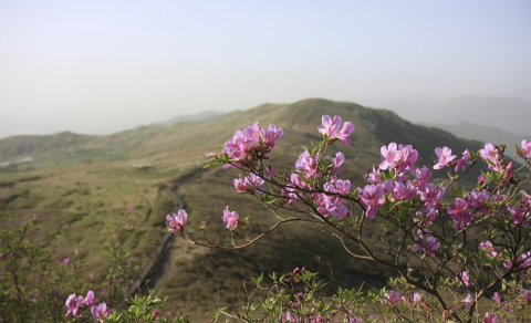 Martda paytaxtda hava necə olacaq?