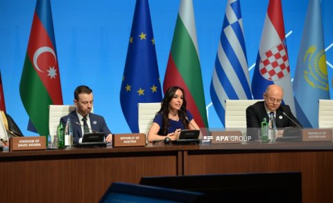 Leyla Əliyeva: "Əgər Xəzər çətin vəziyyətdədirsə, demək ki, dünya ekosistemi təhlükə altındadır"
