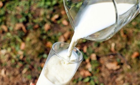 Süddən daha çox kalsium ehtiva edən 12 məhsul