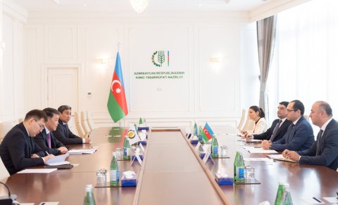Nazir ƏTİT-in baş direktoru ilə görüşdü - FOTOLAR