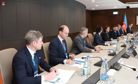 Alman şirkətlərinin nümayəndələri ilə görüş keçirilib