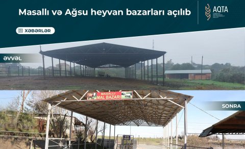 Masallı və Ağsu heyvan bazarları açılıb