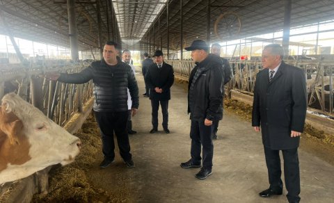Kənd Təsərrüfatı Nazirliyinin Aparat rəhbəri Azad Cəfərli fermerlərlə görüşüb