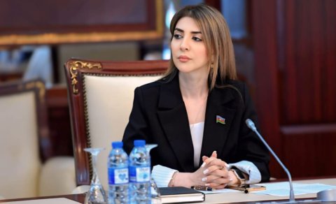 Deputat: &ldquo;Azərbaycan istənilən təxribatın qarşısını almaq iqtidarındadır&rdquo;