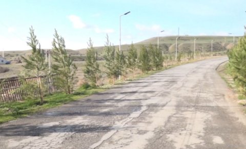 Bələdiyyə sədri kənd sakinlərinin ağac əkməsinə icazə vermədi - VİDEO