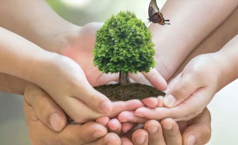 Ekoloq həyəcan təbili çaldı: &ldquo;Hamımızı təhdid edir&rdquo;