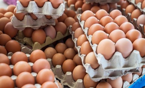 Yumurta alanda bunlara FİKİR VERİN