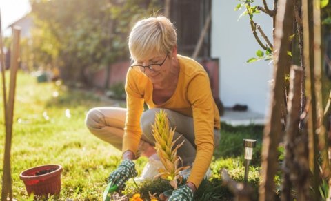 Təbii gübrə əvəzedicisi tapıldı: Alimlər özünü gübrələyən bitkilər tapıb