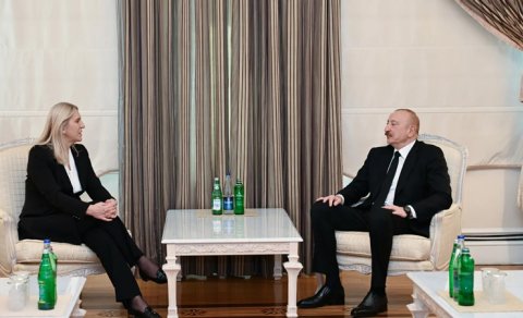 İlham Əliyev Bosniya və Herseqovina Rəyasət Heyətinin üzvü ilə görüşdü