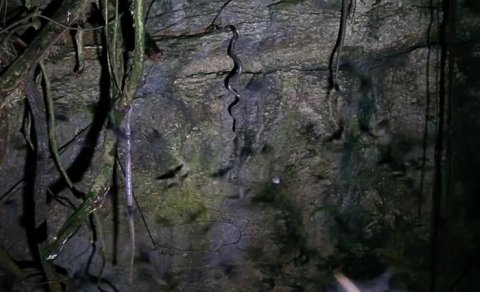 Bu adada ilanlar mağara tavanlarından asılır: Onlar kimi gözləyir?