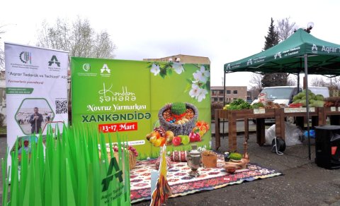 Xankəndidə &ldquo;Kənddən Şəhərə&rdquo; Novruz yarmarkası keçirilir - FOTO