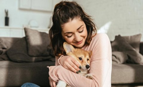 İtlər sahiblərinin xəstəliyini, hamiləliyini və hətta ölümünü hiss edə bilər