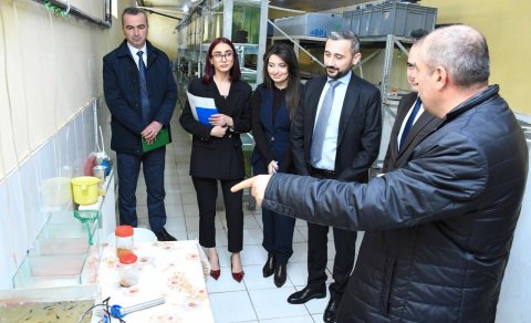 Balıqçılıq və Akvakultura Mərkəzinin nümayəndə heyəti ADAU-da görüşlər keçirib