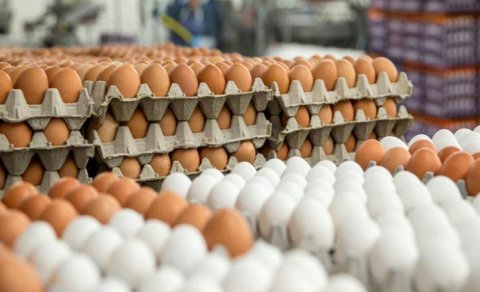 Azərbaycan yumurta ixracını müvəqqəti dayandırdı