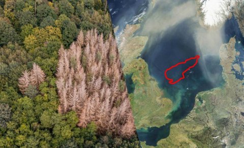 Alimlər Şimal dənizinin dibində "itmiş dünya" tapdı