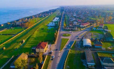 Lənkəranda köçəri quşlar kütləvi tələf oldu - FOTO