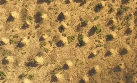 Britaniya böyüklüyündə, kosmosdan görünən nəhəng "şəhər": Onu kim yaradıb?