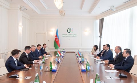 Nazir Macarıstanın Azərbaycandakı səfiri və TDT-nin Budapeştdəki Nümayəndəliyinin icraçı direktoru ilə görüşüb