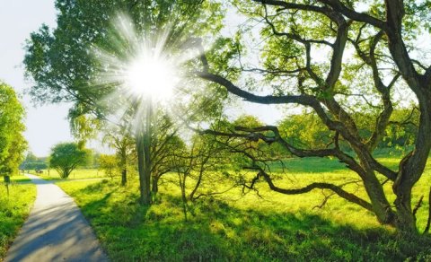 Aprel ayına olan hava proqnozu açıqlandı