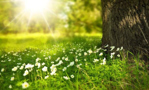 Sabah havanın nisbi rütubəti 70-80 % olacaq