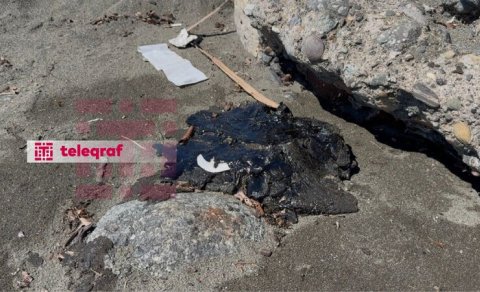 Xəzər sahilində qara təhlükə: Lənkəranda sahilə mazut parçaları çıxır - FOTO