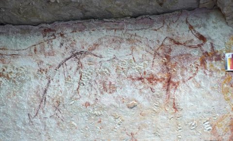 Yerli sakinlərin qayaüstü rəsmləri Tasmaniya pələngləri barədə həqiqəti üzə çıxardı - FOTO