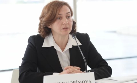 Nazirlikdə struktur dəyişikliyi: Aynur Kərimova müdir təyin edildi