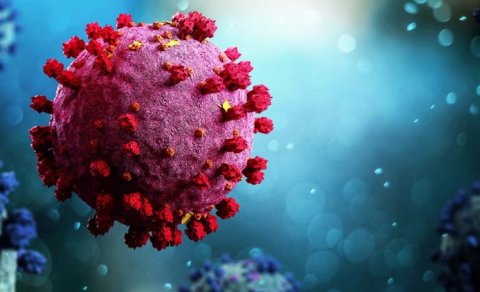 Koronavirus bitmir: Daha bir ştammı ölkələrə yayıldı