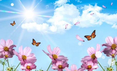 Bakıda 17, rayonlarda 23 dərəcə isti olacaq
