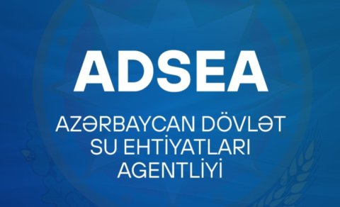 Agentliyə məxsus avtomobil hərrac çıxarılır