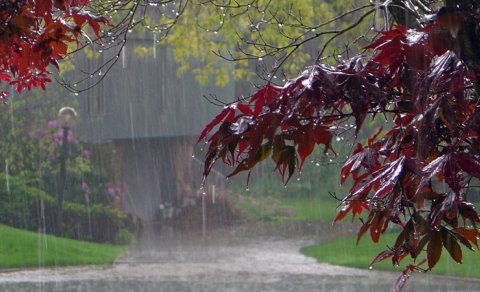 Sabah bəzi yerlərdə yağış yağacaq