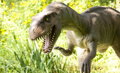 Dəniz səviyyəsindən 500 metr dərinlikdə unikal tapıntı