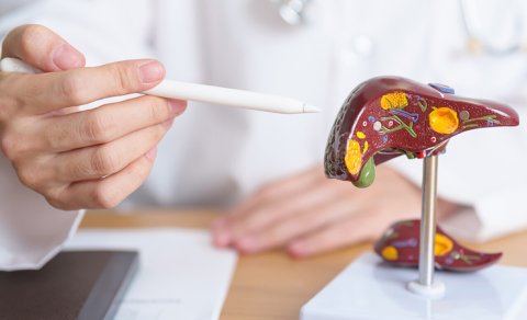 Amerikalı qadın 97 yaşında orqan donoru oldu