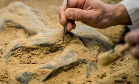 Alimlər elmə məlum olmayan bir insan növünə aid DNT-yə malik 7000 illik skelet tapdı