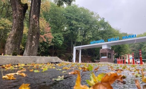 Göy-Göl Milli Parkının 128 min manatlıq tenderi ləğv edildi