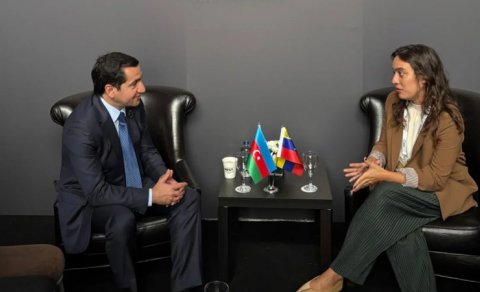 Hikmət Hacıyev Venesuelanın XİN rəhbərinin müavini müzakirələr apardı