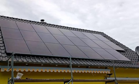 Çin alimləri işığı elektrik enerjisinə çevirən ağac material hazırlayıb