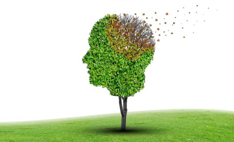 10 min nəfərlik araşdırma tənhalıq və demensiya arasındakı incə xətti ortaya çıxardı