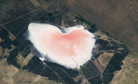 NASA kosmosdan Argentinada çəhrayı "ürəyi" gördü: Rəngin səbəbi heç də romantik deyil
