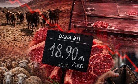 Azərbaycanda ət niyə bahalaşır? - Gizli səbəblər üzə çıxır