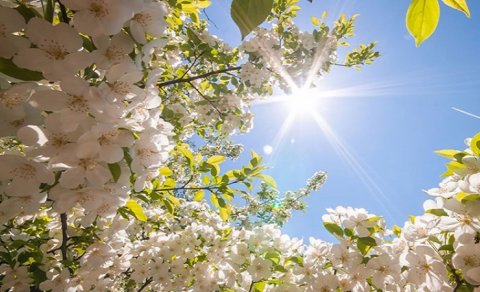 Bazar günü Azərbaycanda 24 dərəcəyədək isti olacaq